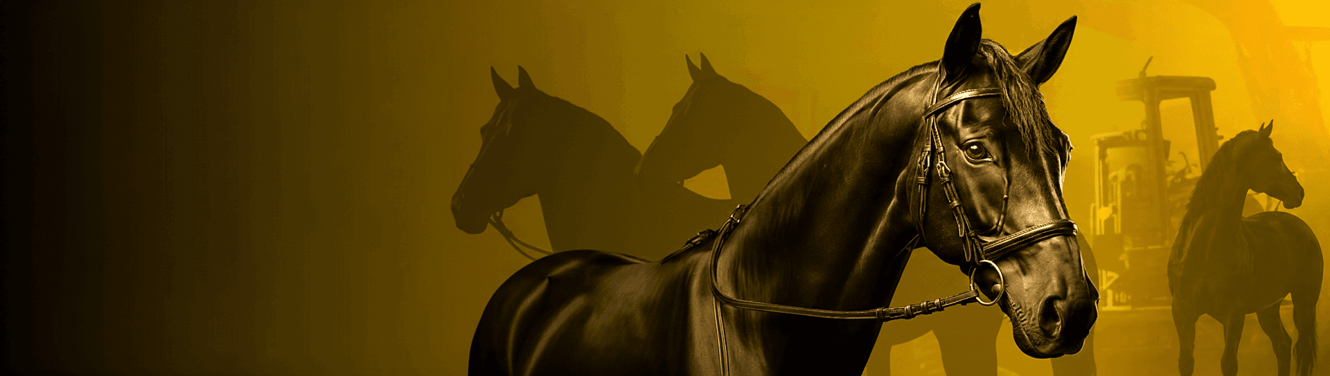 Hero Horse Image